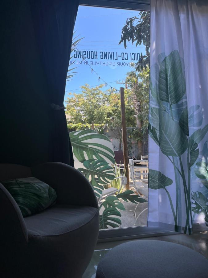 Bed and breakfast Dici Co-Living Housing Cabo San Lucas Extérieur photo